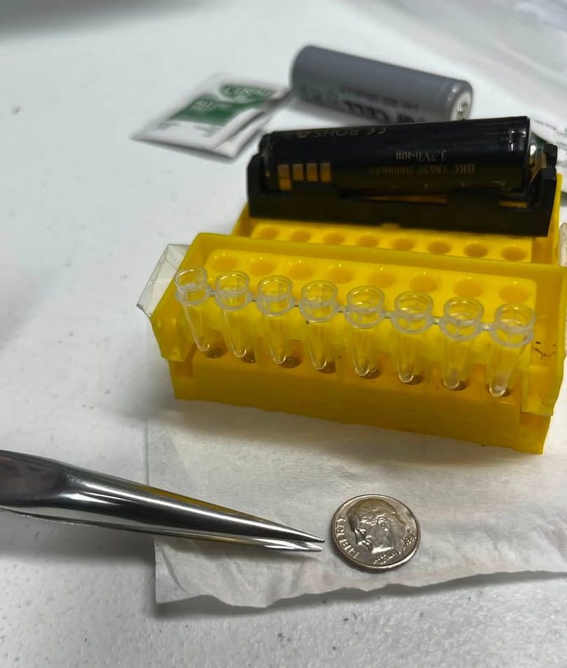 Fine-tip tweezers beside a dime, with a lit tube strip behind
