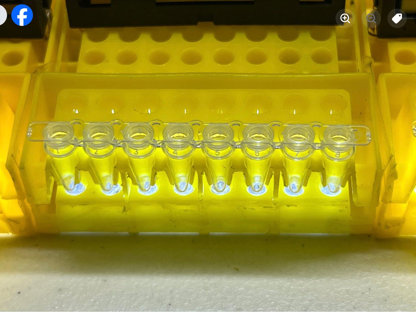 An 8-tube PCR strip glowing in a yellow rack, each tube lit by an LED directly beneath it