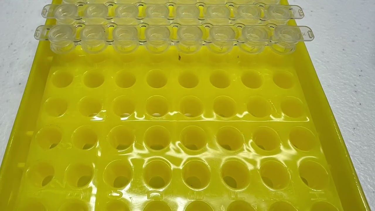 Video: PCR tube strips in a yellow 96-well rack