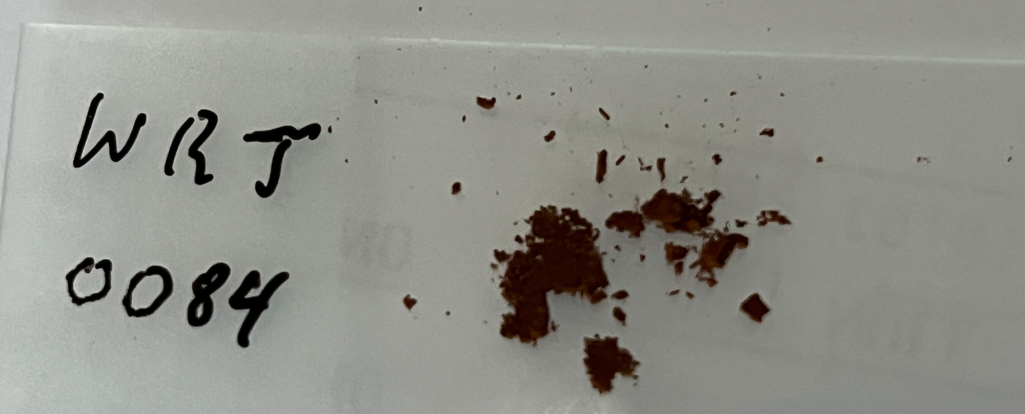 WRJ 0084